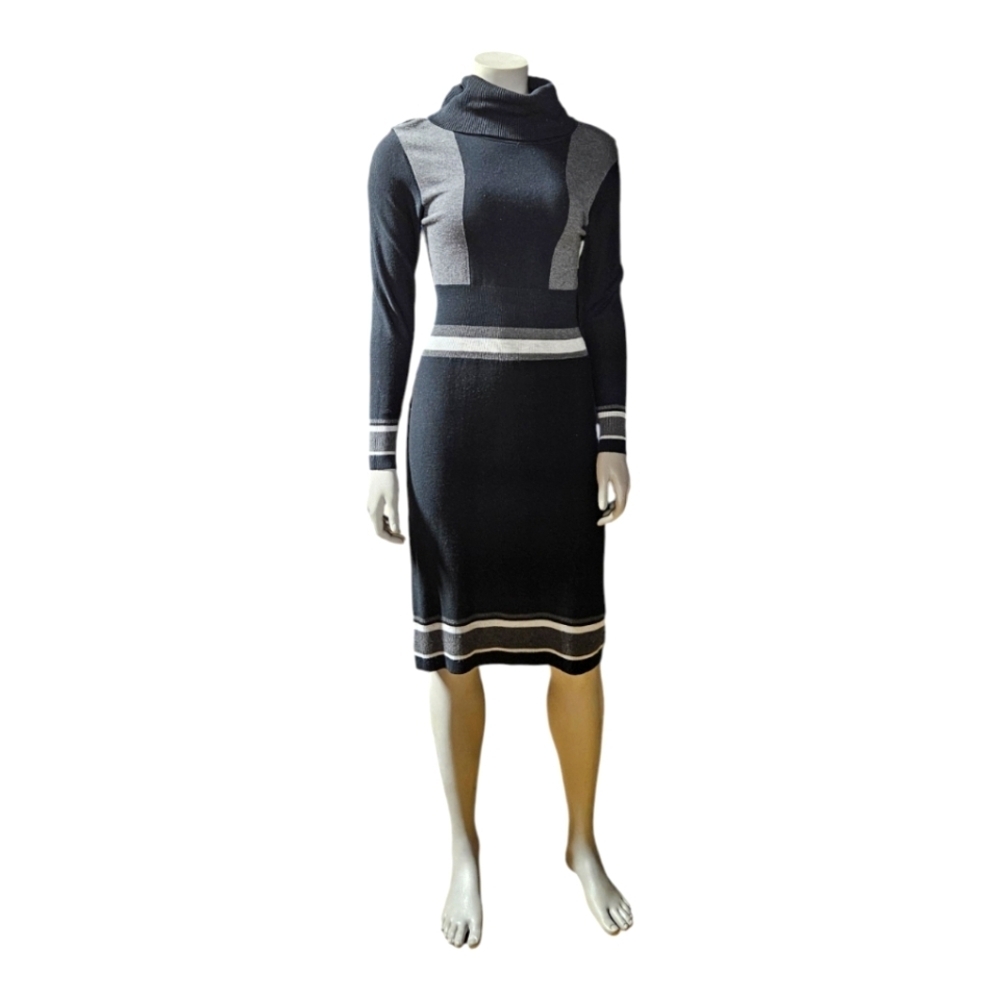 Queenspark Women Knit Turtleneck Sweater Dress , Small